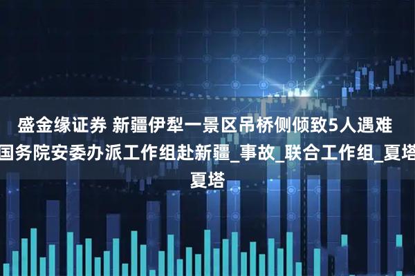 盛金缘证券 新疆伊犁一景区吊桥侧倾致5人遇难 国务院安委办派工作组赴新疆_事故_联合工作组_夏塔