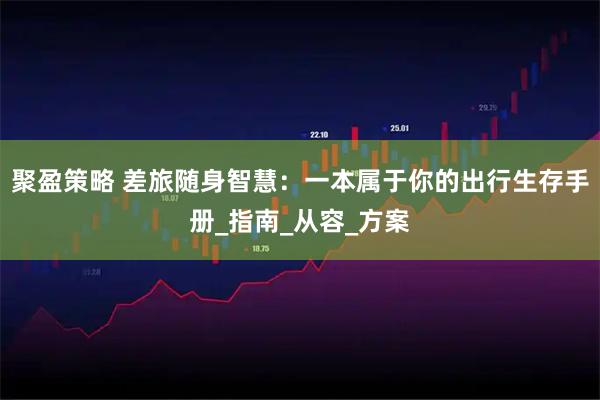 聚盈策略 差旅随身智慧：一本属于你的出行生存手册_指南_从容_方案
