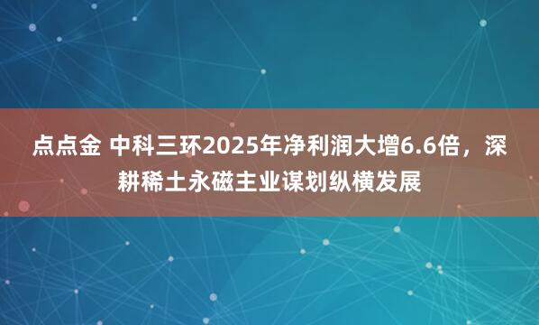 点点金 中科三环2025年净利润大增6.6倍,深耕稀土永磁主业谋划纵横发展