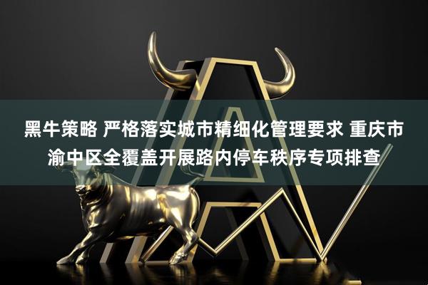 黑牛策略 严格落实城市精细化管理要求 重庆市渝中区全覆盖开展路内停车秩序专项排查