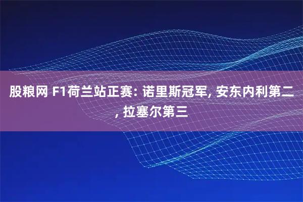 股粮网 F1荷兰站正赛: 诺里斯冠军, 安东内利第二, 拉塞尔第三